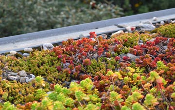the cost of Dundee City green roof installation