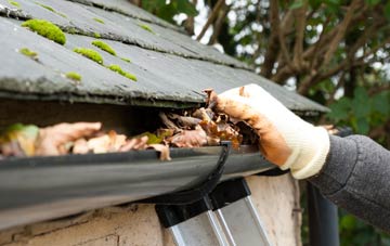 gutter cleaning Dundee City