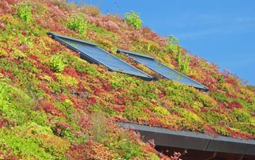 Dundee City living roof systems