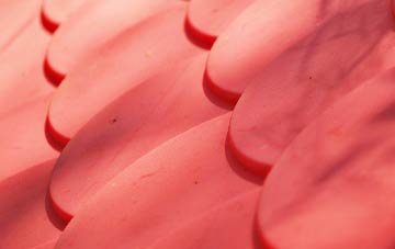 Dundee City plastic roof costs