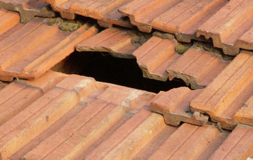 roof repair Dundee City