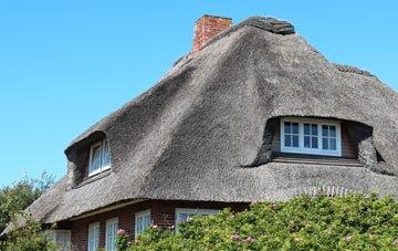 thatch roofing Dundee City